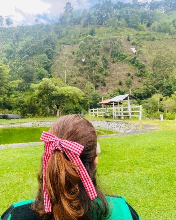 Scrunchies con moño